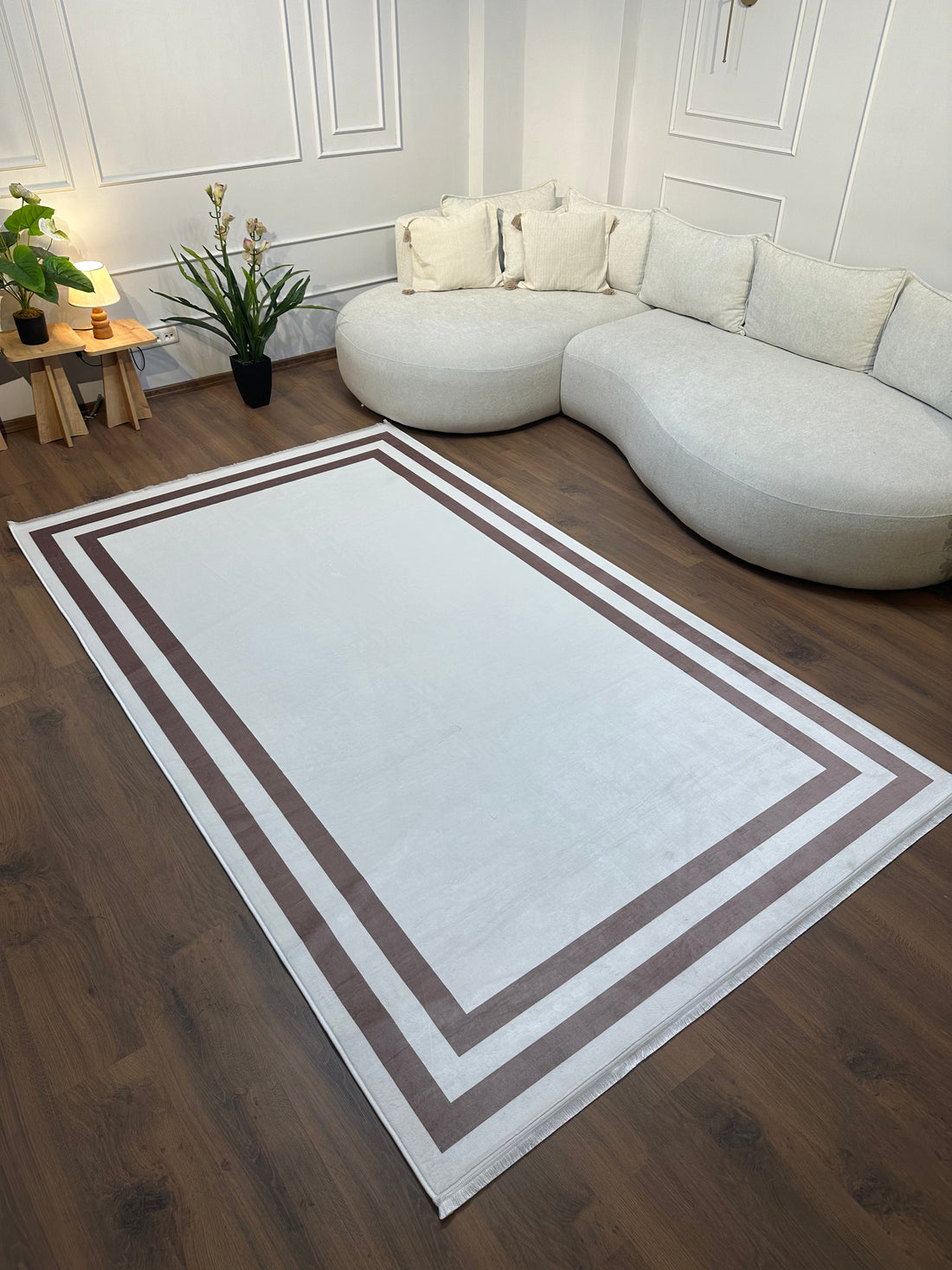 Frame Vizon